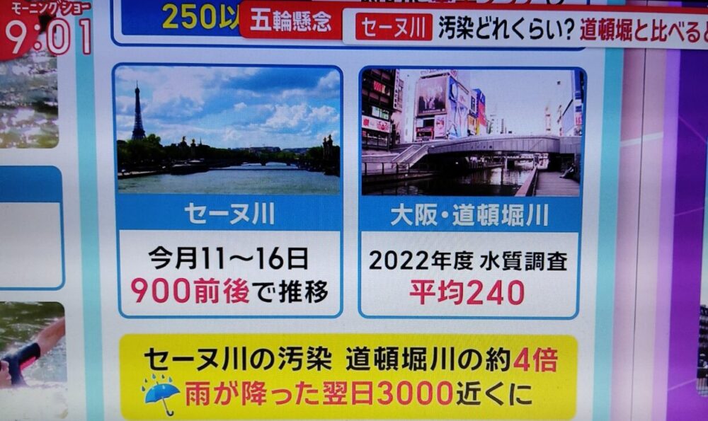 【道頓堀の4倍】セーヌ川汚い!水質ヤバすぎてトライアスロンはどうなる?